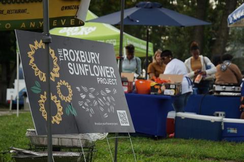 A small sign, by an outdoor booth, reads "Roxbury Sunflower Project."