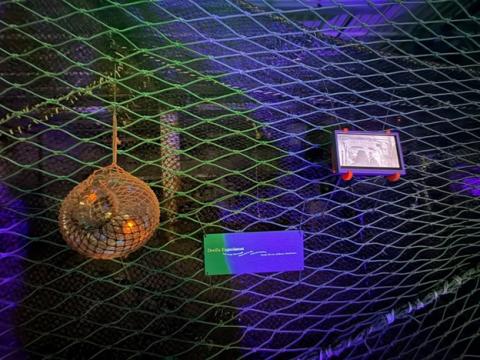 Artifacts are strung from a net in blue lighting.