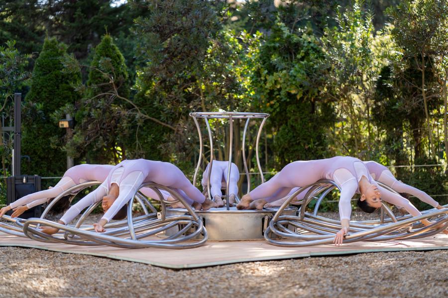 Four dancers, in lilac leotards, lean backwards in a metal contraption that opens like a flower.