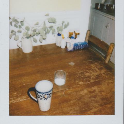 A polaroid with flash of a cup and flowers on a kitchen table.