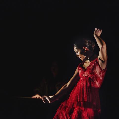 A woman, in a red dress, dances flamenco in a dark space.