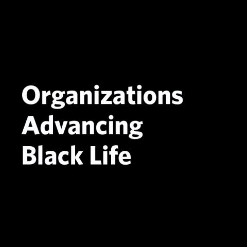 Organizations Advancing Black Life